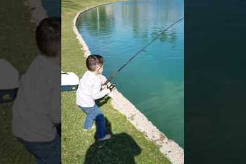 Monster fish caught by my kid