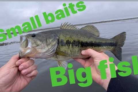 Small baits big fish , this lake was full!!!