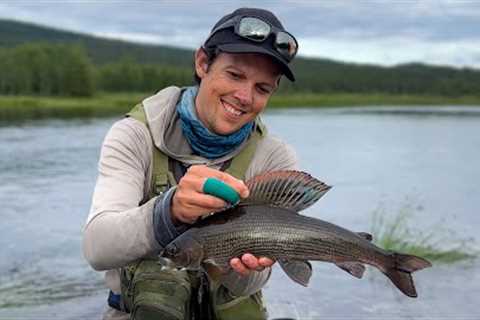 How I Fish Streams -  A Day of Fly Fishing the Vindel River