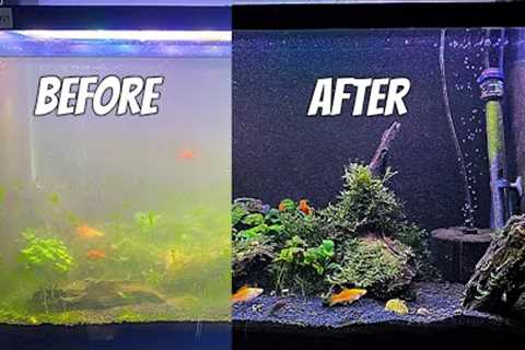 Cleaning a Dirty Aquarium - Fish Tank Maintenance
