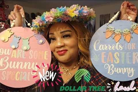 Dollar Tree Haul | Brand New Finds
