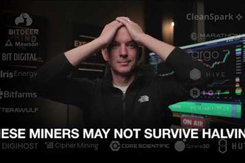 These Bitcoin Miners May Not Survive The Halving? Updated Numbers!!! Bitcoin &amp; Miners Up Huge!