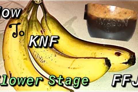 How To KNF ( Korean Natural Farming and it’s Organic Inputs ) Bloom FFJ with Banana