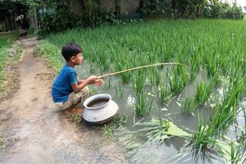 Fishing in Rainy Season Water ~ Village Little Boy Catching Fish With a Hook in a Village Rice Field