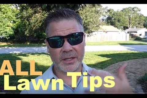 Fall Lawn Tips - Cool Season Grasses