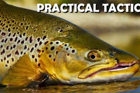 Big Brown Trout: Real-Life Cloudy Day Trout Stream Sight-Fishing Tips &amp; Tactics. Part 1
