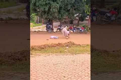 what a goal 👏 😂😂 #prank #football #shorts #viral