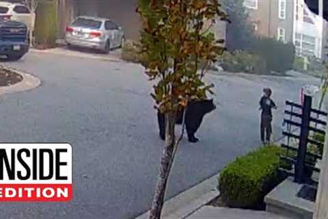 7-Year-Old Encounters Massive Bear While Riding Scooter