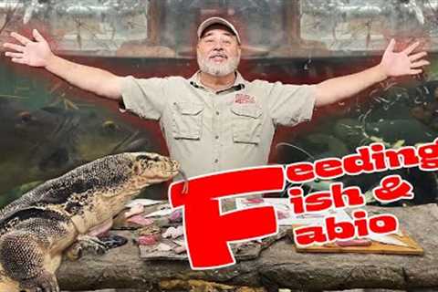 GIANT FISH AND GIANT LIZARD😳