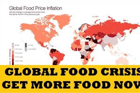 Global Food Crisis Coming  Get Prepared Now Buy Food