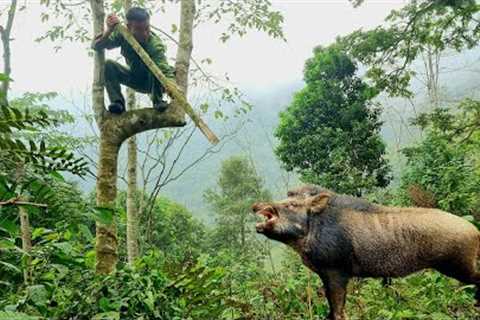 FULL VIDEO: wild boar attacks people, survive alone, skills, boar traps, survival instincts