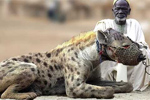 10 Unique Exotic Pets That People Actually Own