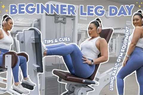 BEGINNER LEG DAY | Using Basic Gym Equipment