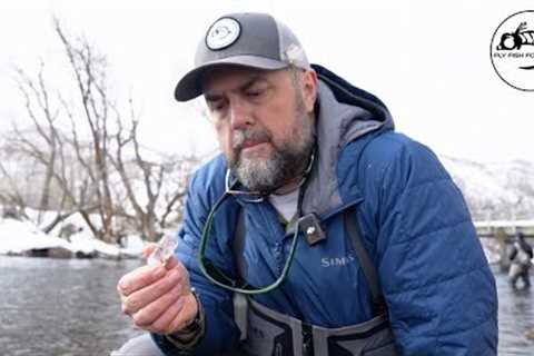 Winter Fly Fishing Entomology: What you should know about bugs in the winter!
