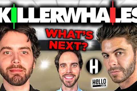 What's Next For Killer Whales? Hello Labs Crypto Token BIG NEWS!