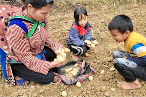 Potato and peanut planting season has arrived for Dia's family, they catch fish and cook lunch.