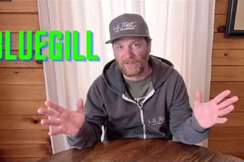 Fish Facts - BLUEGILL