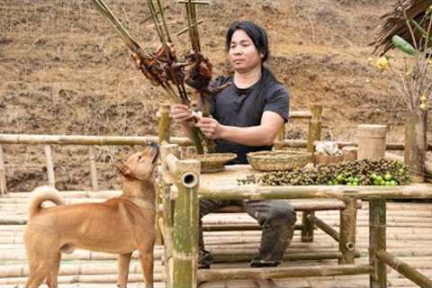 Trap Wild Chickens, Weave Bamboo Baskets, Enjoy Smoked Fish | EP.328