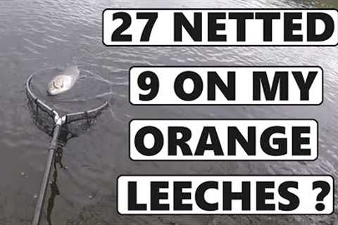 229. My Own Tied Trout Flies SHOW ME UP - Fly Fishing UK