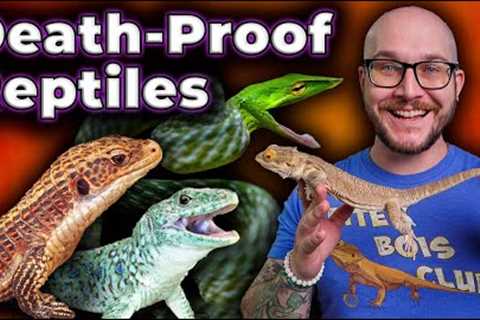 Top 5 Bulletproof Reptiles! The Healthiest, Least Prone to Sickness and Death Reptiles! (RIP Bob)
