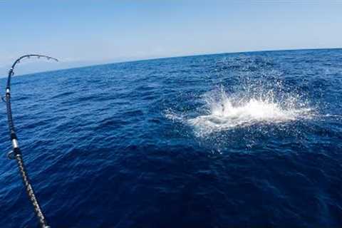 Deep Sea Fishing INSANITY 30 Miles Out! [CATCH CLEAN COOK]
