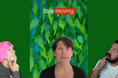 Divers React to Scuba Advice Shorts
