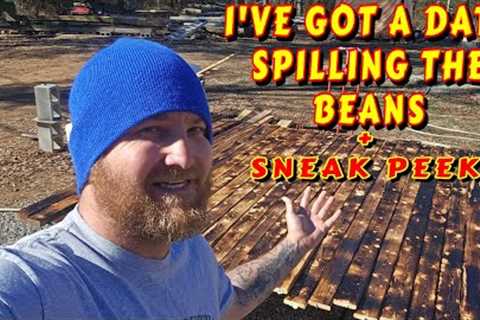 WHAT'S GOING ON |tiny house, homesteading off-grid cabin build DIY HOW TO sawmill tractor tiny cabin