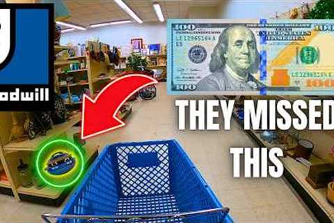 Everyone Passed by These $100 Thrift Store Finds