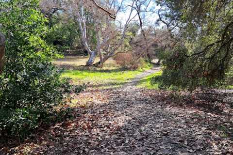 Coyote Creek Off-Road Rides