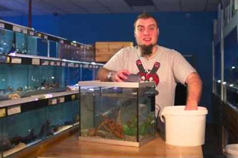 Fishkeeping Tips - How To Perform A Water Change On An Aquarium