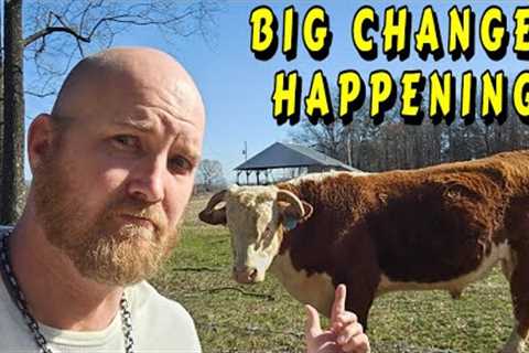 ALOT GOING ON |tiny house, homesteading, off-grid, cabin build DIY HOW TO sawmill tractor tiny cabin