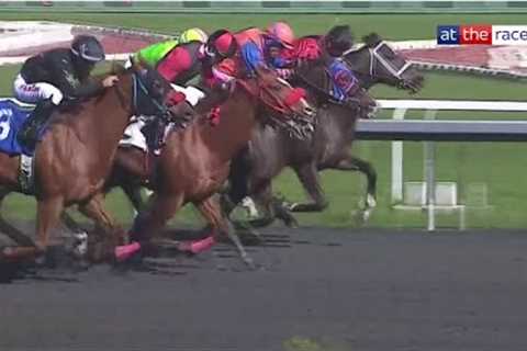 Insane finish! Six horses in a line at the winning post!