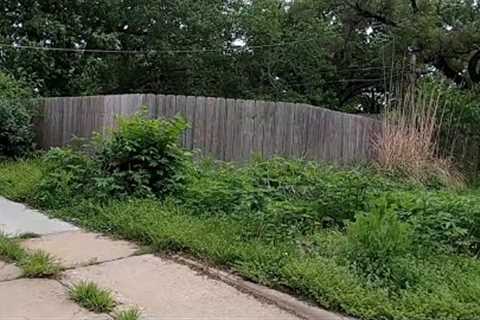 The UGLIEST Lawn In The Neighborhood BADLY Needed Cleaned Up