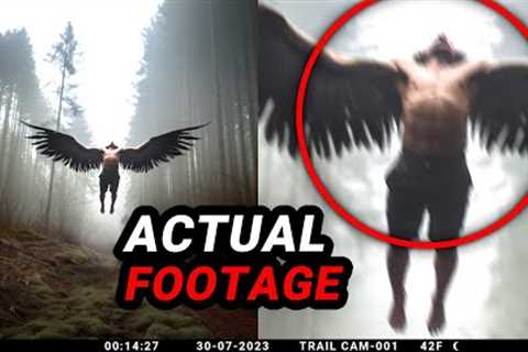 Unsettling Trail Cam Footage Meant to Remain Confidential
