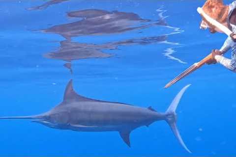 Spearfishing For Giant Tuna and Marlin! {Catch Clean Cook} Feeding the Village