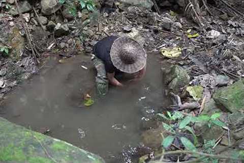 Catch Fish, Wild Food, Catch and Cook: Alone Survival | EP.226: Survival Alone | EP.226
