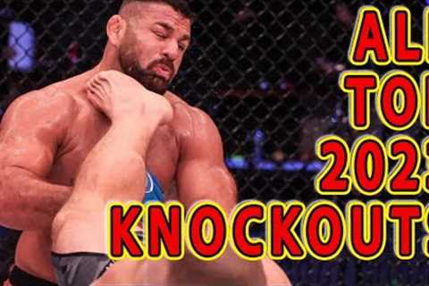 All Top Knockouts 2023 in MMA