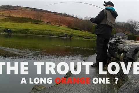 230. Fly Fishing with Trout Flies That Help you CATCH more FISH