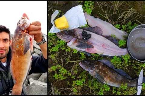 FINAL Day CATCH AND COOK!! Blackberry Butter Fish **SOLO 1,600 Mile Fishing Road Trip**