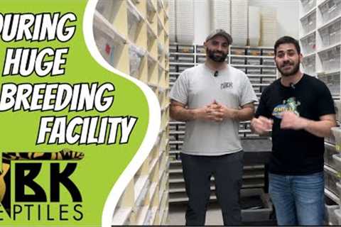 Touring One Of Canada's Largest Reptile Breeding Facilities!