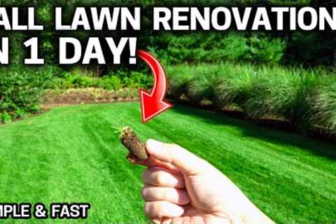 LAWN Renovation IN ONE DAY! Fall Lawn Care