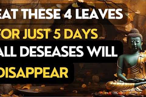 Eat only 4 leaves in the morning on an empty stomach, the body will remain strong and healthy.