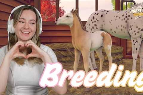 BREEDING NEW STEEPLECHASE HORSES! - Rival Stars Horse Racing | Pinehaven