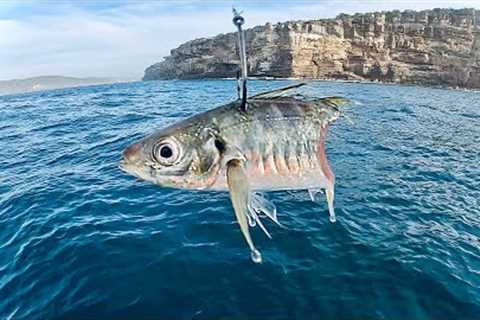 The Fish Were BITING! Catch And Cook