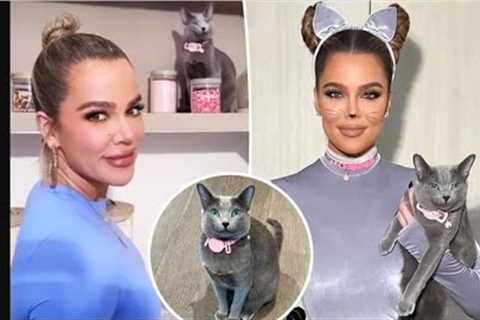 Khloé Kardashian accused of FaceTuning her cat