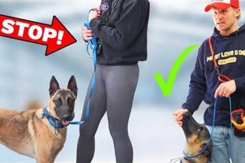 THIS Forces All Dogs To Be Reactive and Fearful!