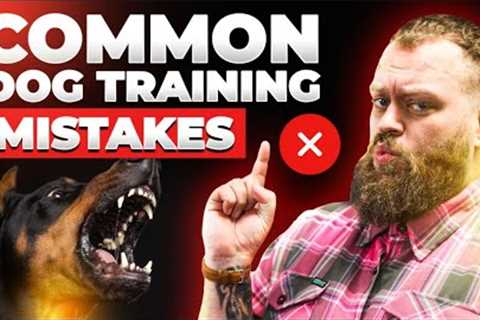 Common Dog Training Mistakes Dog Owners Make