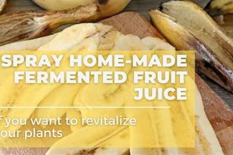 17. If You Want to Revitalize your Plants, Spray Home-Made Fermented Fruit Juice!