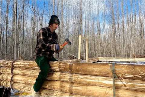 Building A Log Cabin In The Woods Alone: Simple Wall Construction