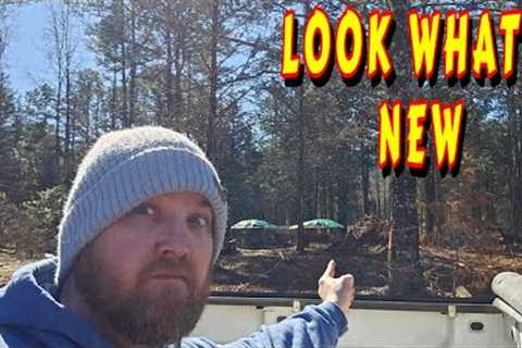 HUGE STEPS |tiny house, homesteading, off-grid, cabin build, DIY HOW TO sawmill tractor tiny cabin